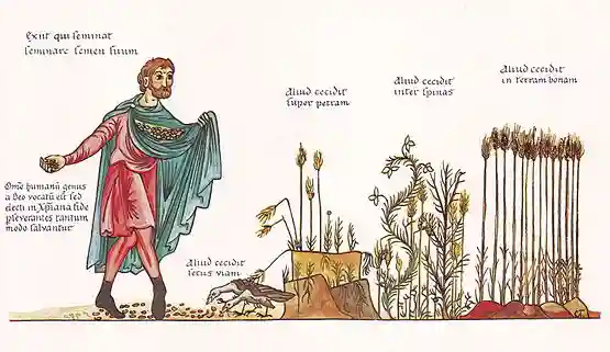 Sower and the seed