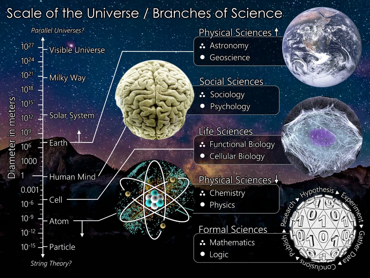 Branches of Science image